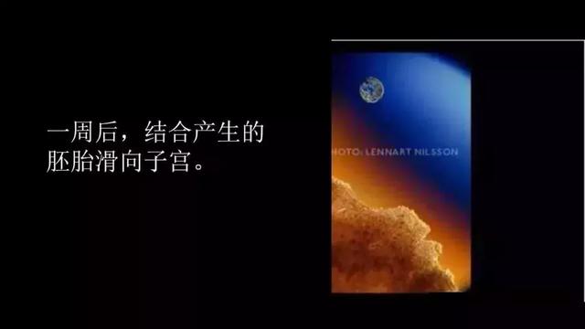 震撼！宝宝在子宫里最真实的照片曝光，我们每个人都是这么来的～