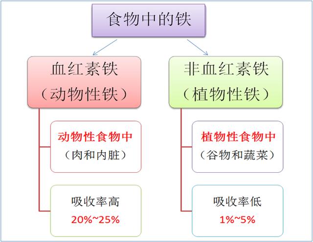 瘦肉、蔬菜加水果，儿研所专家告诉你：孩子缺铁，这样吃最好！