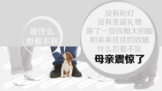 站在孩子的高度看世界，父母知道了许多！
