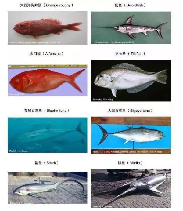 孕期，准妈妈这6类食品最好少碰，关系到胎儿健康！