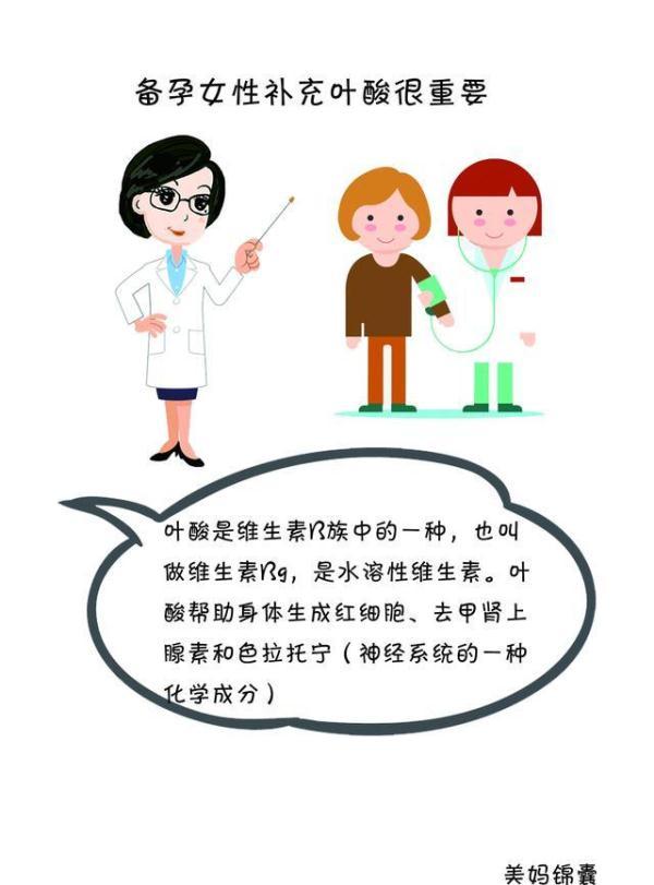 叶酸对孕妈妈的重要性以及胎儿的重要性