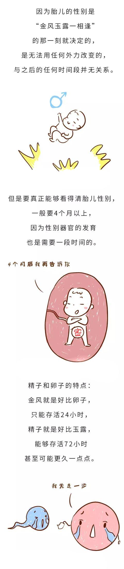 胎儿性别是受精那一刻就决定了，还是后来才决定的呢？