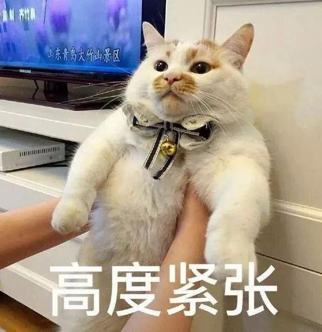 孕期有种胖，叫「婆婆不觉得你胖」