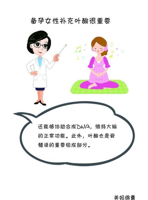 叶酸对孕妈妈的重要性以及胎儿的重要性