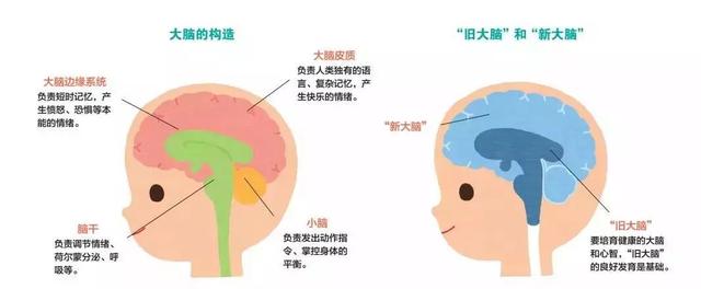 日本最权威早教书，0～48月大脑发育黄金期，《宝宝全脑开发大书》不容错过