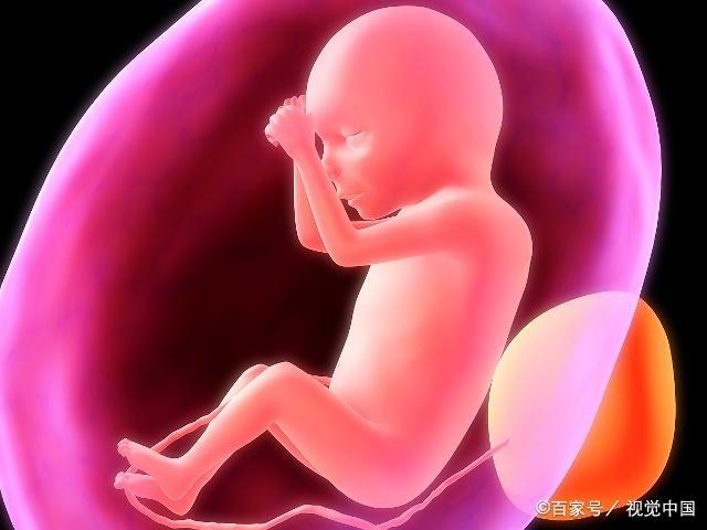 孕期10个月，这个时期是胎儿快速增长期，孕妈营养要补充到位！