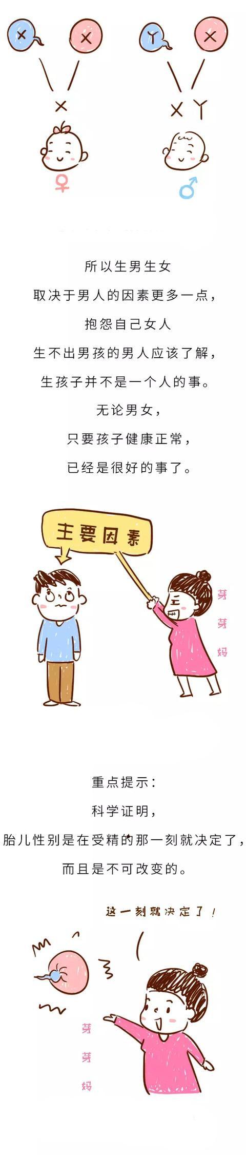 胎儿性别是受精那一刻就决定了，还是后来才决定的呢？