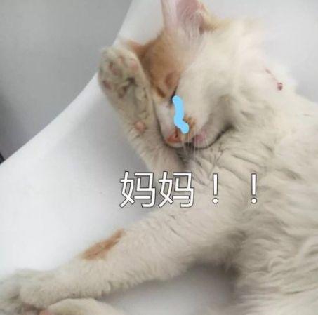你给孩子的零花钱，竟然隐藏这么多“坑”！
