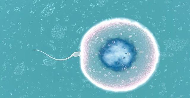 【营养美学】备孕补充单纯叶酸片还是复合维生素片？傻傻不明白
