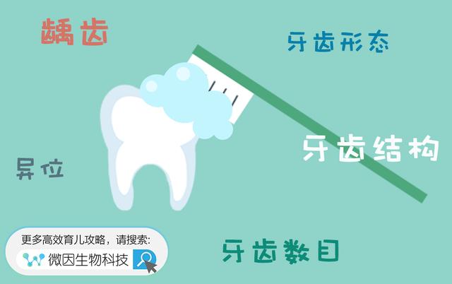 孩子牙齿发育问题多？这些因素要知道！