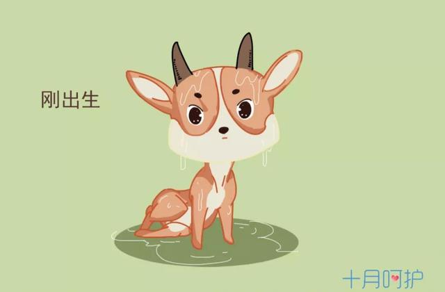女人生孩子为什么会难产？竟然是因为它
