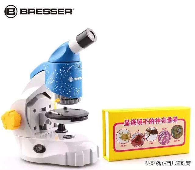 一根头发都能玩好久！实物+标本2种观测方式，满足孩子所有好奇心