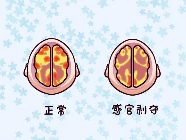 孩子长时间玩手机，大脑会有什么变化？一张图让人后怕！
