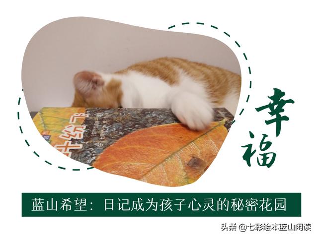 2年级孩子的写作尝试：愿有趣的文字 配得上孩子的心灵