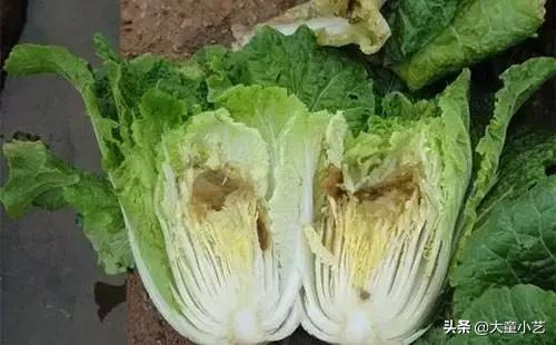 不知不觉中,你可能在给自己的孩子喂有毒的食物