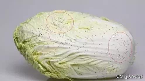 不知不觉中,你可能在给自己的孩子喂有毒的食物