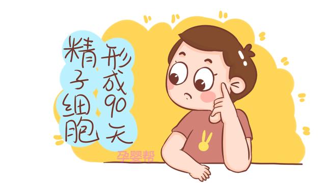 为什么备孕需要三个月？真实原因是这样的，比你想的科学多了