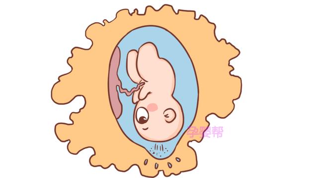 临产前半个小时，胎宝宝都在做什么呢？原来这么努力