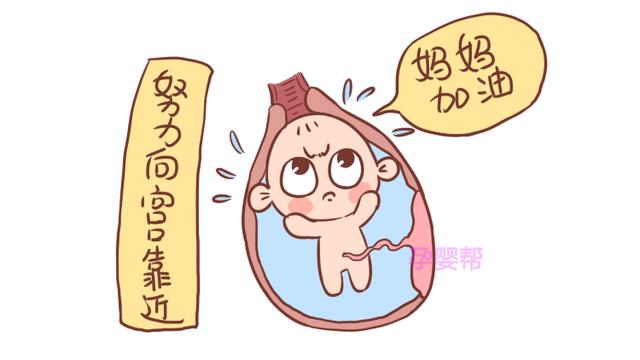 临产前半个小时，胎宝宝都在做什么呢？原来这么努力