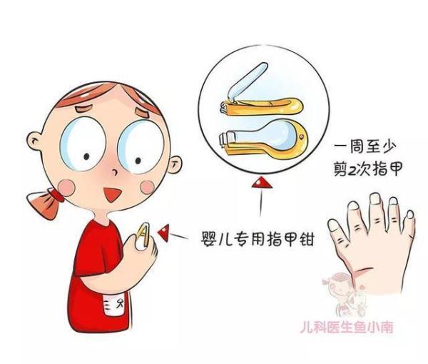 指甲上月牙越多越健康？指甲的 3 个真相，这些身体密码你要了解