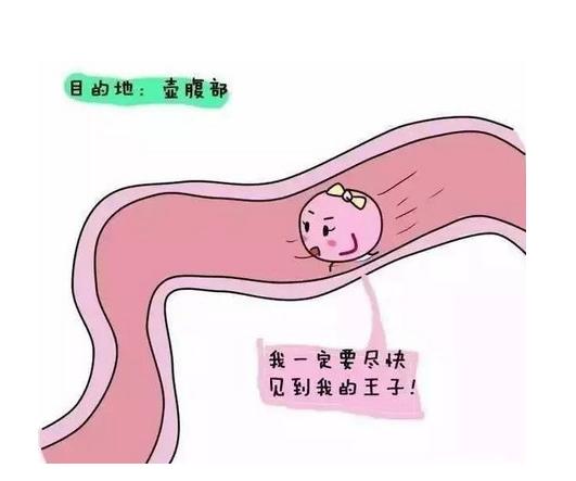 月经过去多久后，女性一碰就有孕？是这个时间别错过了！