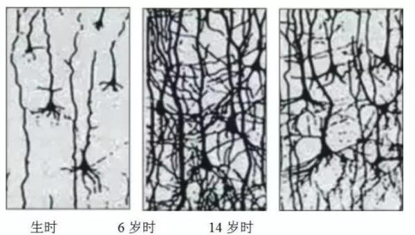 长期喂饭会损伤宝宝大脑！精细运动妈妈们该学习一下了！