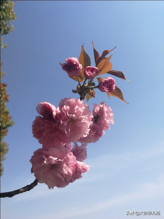 三个月的宝宝，注意培养最后一项能力很重要