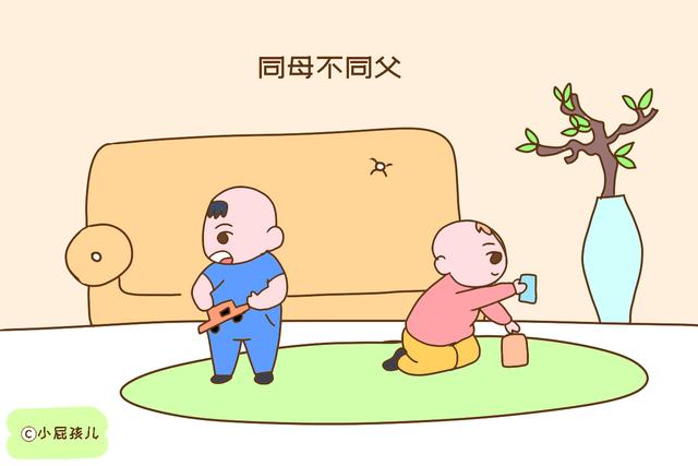 双胞胎宝宝同母不同父，医生解释的真详细，太尴尬了