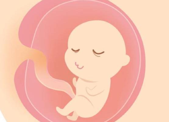 孩子将来好不好带，娘胎里就造就了，这两点可以看出来！