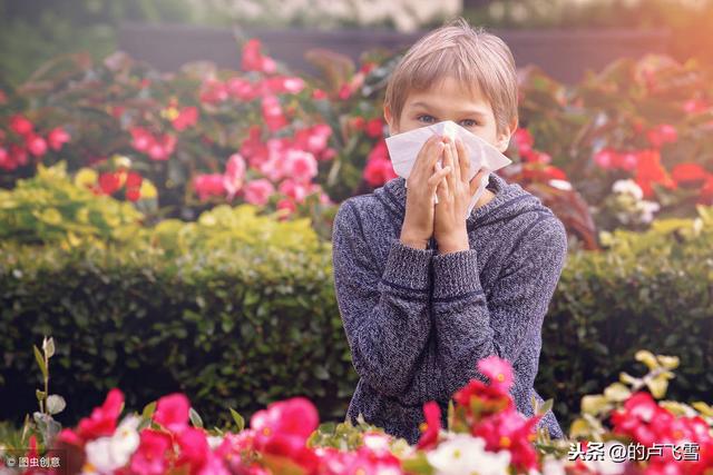 孩子容易生病、柔弱、欺负别人背后的原因？有此毛病的家长看过来