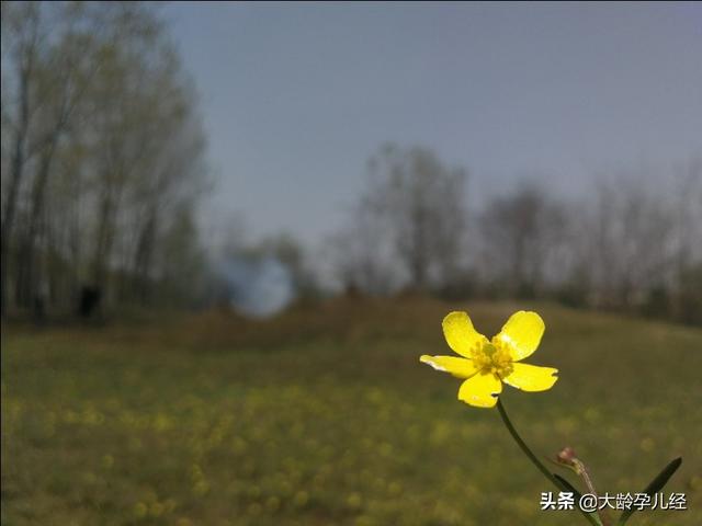 三个月的宝宝，注意培养最后一项能力很重要