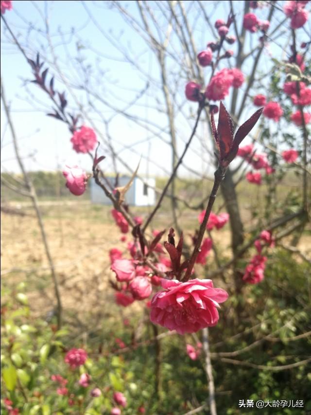 三个月的宝宝，注意培养最后一项能力很重要