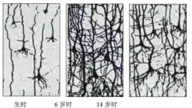 长期喂饭会损伤宝宝大脑！精细运动妈妈们该学习一下了