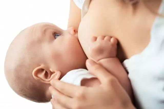 乳汁是血液变的？教宝妈5招，获得营养更充足的乳汁