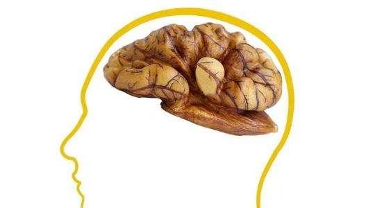 别光给娃吃核桃，这些才是真正的补脑食物！