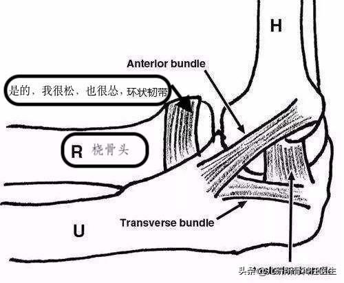 孩子出门玩耍担心牵拉肘？爸爸妈妈看这一篇就够了