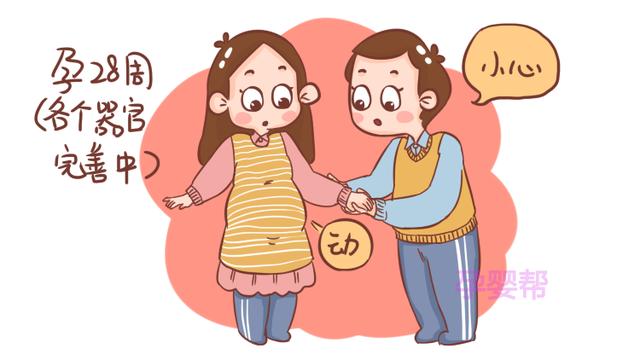 孕晚期这一周很重要，孕妈能够平安度过，胎儿才能安全降临