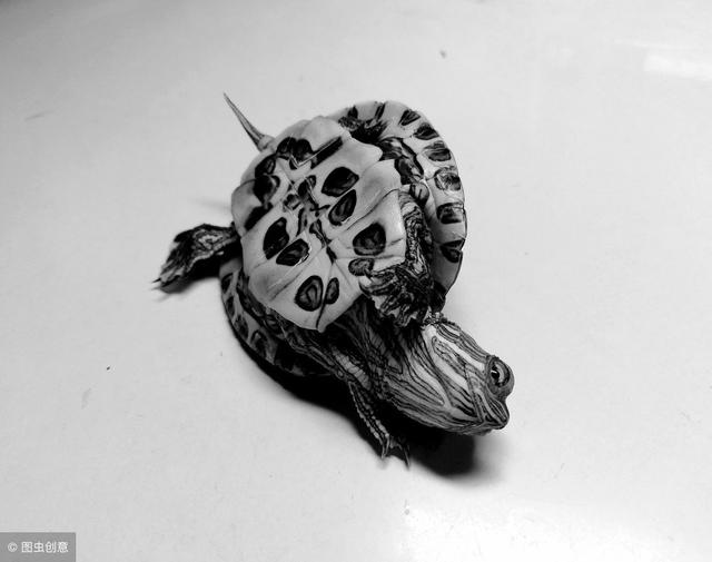 如何与孩子谈论死亡 | 与哀伤同行