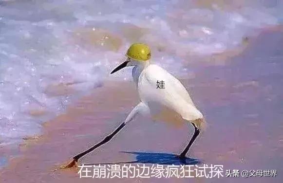 管教无需咆哮！正面管教这6个方法，教你赢得孩子不是赢了孩子！