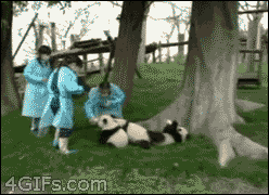 孩子几岁开始戒奶瓶最合适？