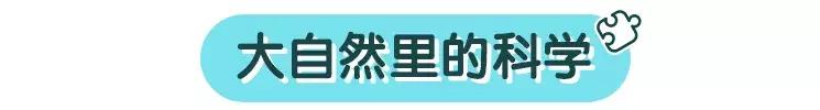 这样带娃逛公园，不花一分钱，智商涨两斤