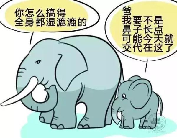 请克制！最好的早教，就是和孩子好好说话！