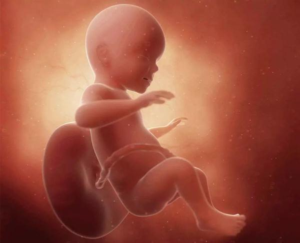 胎儿也会打嗝？能判断胎位吗？孕妇多注意胎儿发育情况