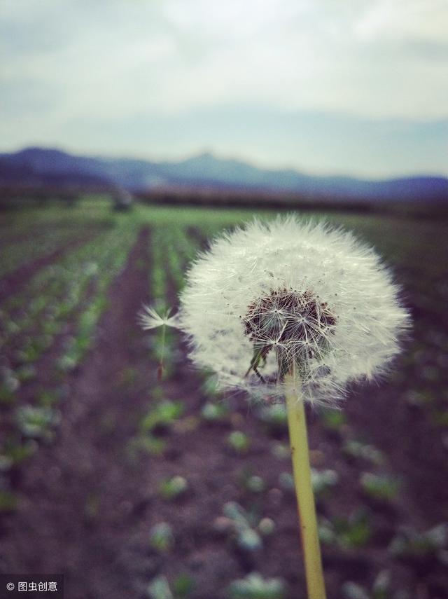 一个被逼学会生活中的很多东西的女孩