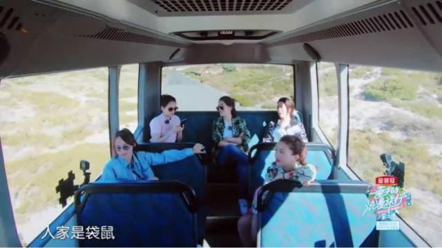 妻子的浪漫旅行：四位聊孩子滔滔不绝，她也有俩孩子却一直不发言