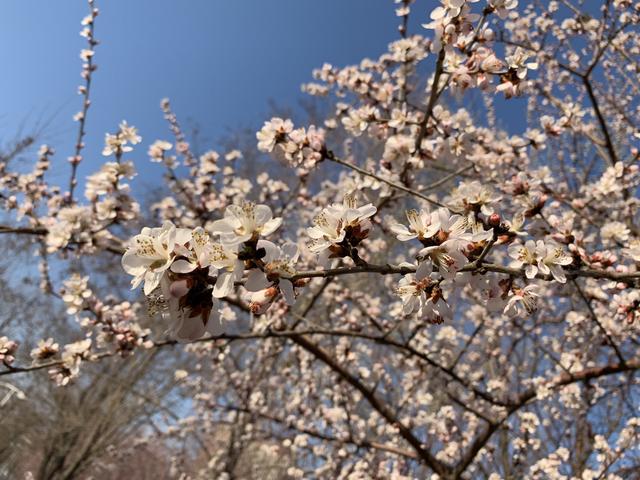 适逢假期天气渐暖,但孕妇可别去这几个地方,对家庭和胎儿都不好