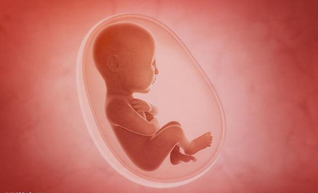 孕妇不能缺少维生素A，但是超标却有致畸危险！到底补多少合适？