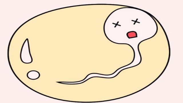 备孕期间,没中奖的千万“小蝌蚪”都到哪去了?不外乎这3种结局