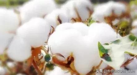 宝宝服装吊牌藏着材质安全的惊天大秘密，你们都注意过吗？