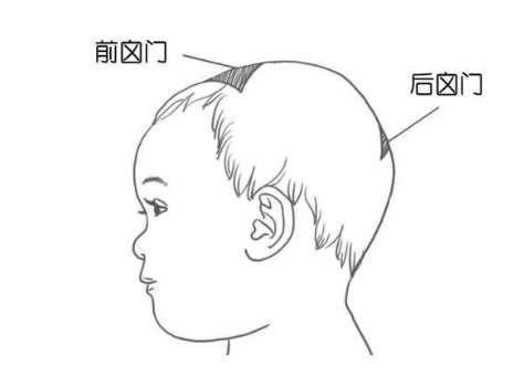 宝宝囟门闭合和钙有关吗？隆起、凹陷有问题吗？答案都在这里